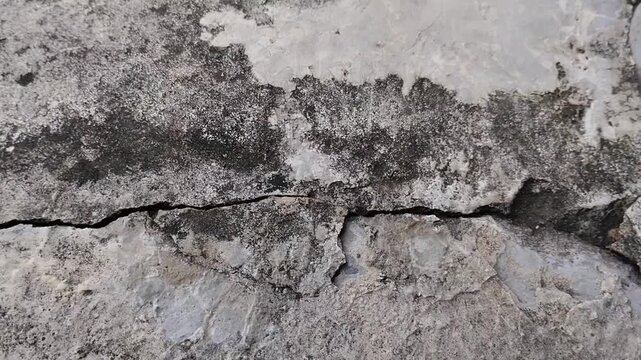 Walls exhibiting significant structural cracks and fine hairline cracks. This indicates building damage, foundation issues, and the need for structural renovation