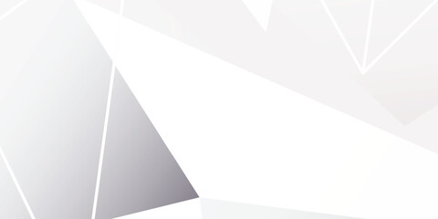 Minimalist White Low Poly Geometric Abstract Background with Modern Polygon Design © JR_DESIGN