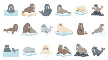 Collection of cute cartoon walruses in various poses and environments, including ice floes and water. © Pink