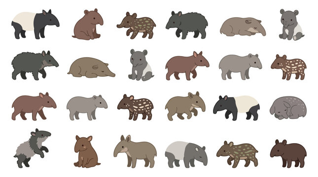 Collection of various tapir species and their young, illustrated in a simple cartoon style.