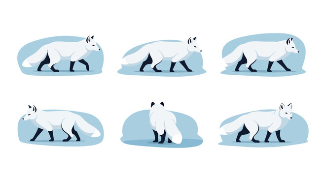 Polar bear walking ice.