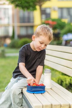 Child eating healthy school snack during break outdoors