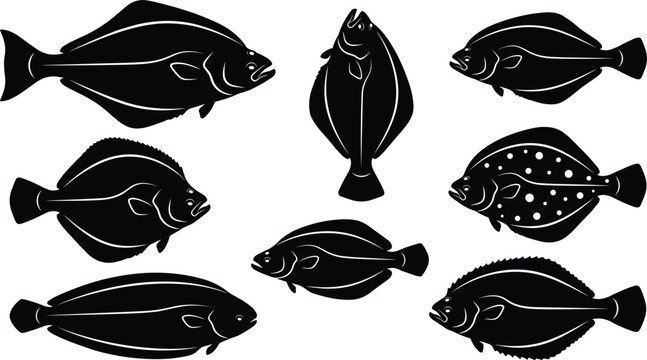 Flatfish And Flounder Species Silhouette Icon Set Featuring Halibut Turbot And Sole For Marine Graphic Designs