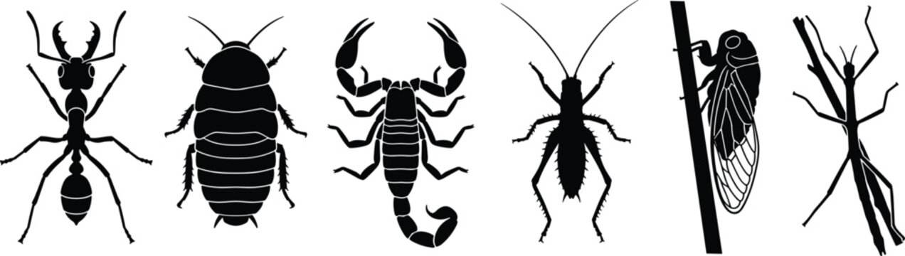 Insects And Arachnids Silhouette Icon Set Featuring Ant Scorpion Cricket Cicada Cockroach And Stick Bug For Designs