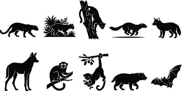 Rainforest Animals Silhouette Set Featuring Jaguar Kinkajou Ocelot Maned Wolf Sloth Bat And Monkey Species For Designs