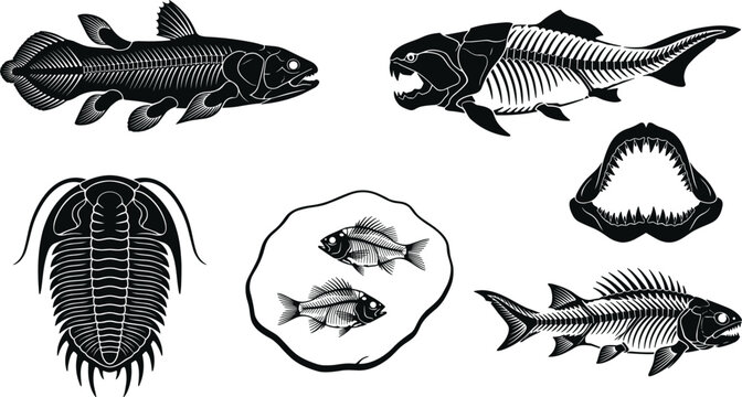 Prehistoric Marine Fossils Silhouette Set Featuring Coelacanth Dunkleosteus Trilobite Shark Jaws And Ancient Fish Skeletons