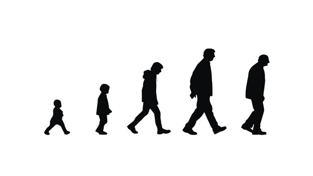 Evolution of Human Walking Posture Over Time.