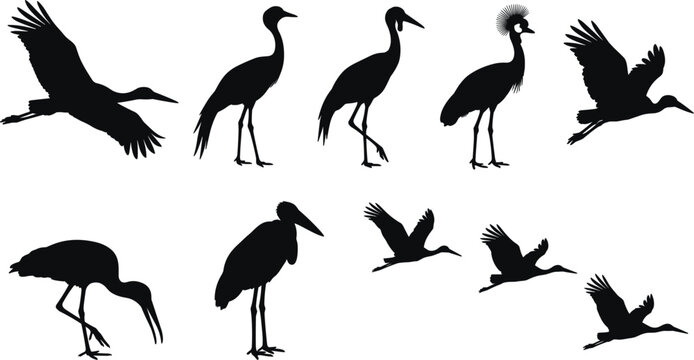 Stork And Crane Bird Silhouette Set Featuring Herons Egret And Crowned Crane In Flying And Standing Poses