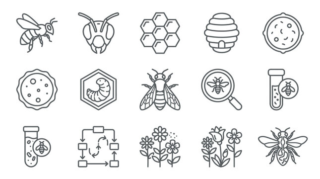 Scientific bee research and honey production icons.