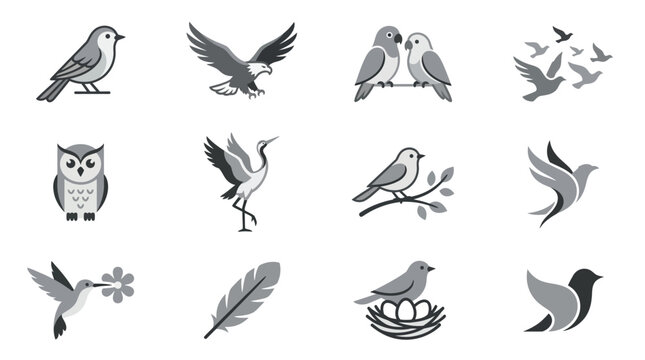 Set of diverse bird silhouette and line icons.