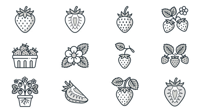 Strawberry fruit and plant outline icon set.