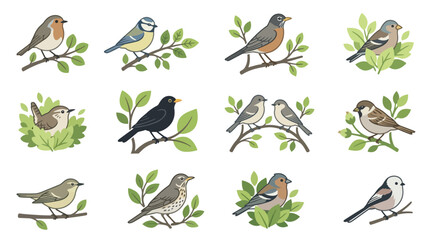 Fototapeta premium Vibrant garden birds perched on lush green foliage.