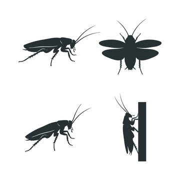 Cockroach Silhouette Vector Set Isolated on White Background, Pest Insect Icons Collection