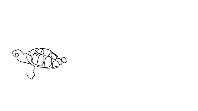 Animated self drawing of continuous line draw of   Ocean Life Line Art Turtle, Manta Ray, and Dolphin Silhouettes. Full length one line animation. 4K
