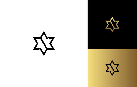 Elite Geometric Letter S Monogram Hexagram Star Logo Template. Letters MSM David Star Logo Concept. 