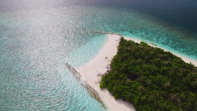 Aerial shot shows a small Maldivian islet and reef. Waves lap the white sand, a single leaning palm stands, and light shimmers on aquamarine to navy waters.