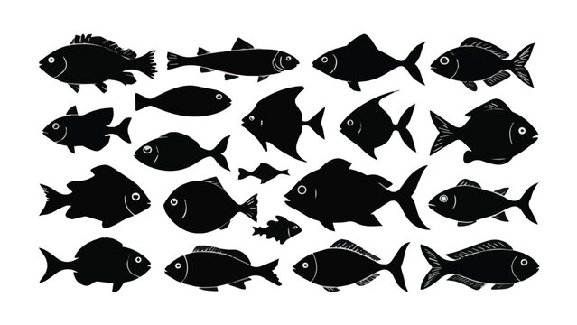 Silhouette of Various Fish Species Swimming Together.