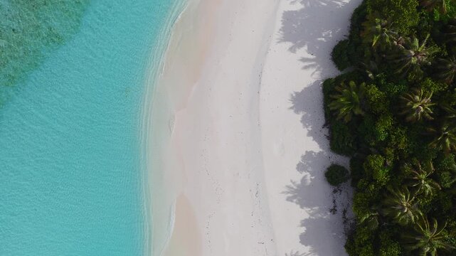 Aerial top down view of an atoll island in Maldives. A crescent sand beach separates a reef lagoon and coconut palms. Gentle waves and palm shadows are visible.