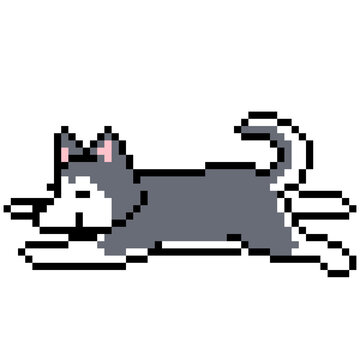 Cute pixel art illustration of a gray and white Siberian husky dog lying down or splooting. Retro 8-bit or 16-bit