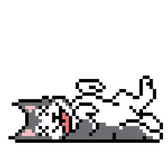 Cute pixel art illustration of a gray and white Siberian husky dog lying on its back with belly up and tongue out. Retro 8-bit or 16-bit © Mukhamat