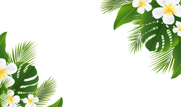 Frame Green Palm Tree Branch And Frangipani