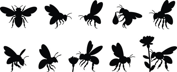 Vector collection of bee silhouettes in flying, hovering, and pollination poses highlighting insects interacting with flowers © mstlipibegum