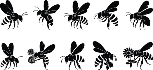 Vector collection of bee silhouettes in flying, hovering, and pollination poses highlighting insects interacting with flowers © mstlipibegum