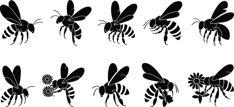 Vector collection of bee silhouettes in flying, hovering, and pollination poses highlighting insects interacting with flowers