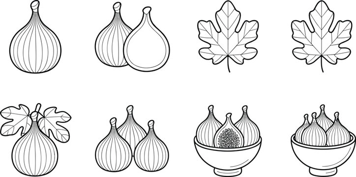 Detailed vector illustration of figs and fig leaves including whole fruits, cut halves, and decorative bowl arrangements