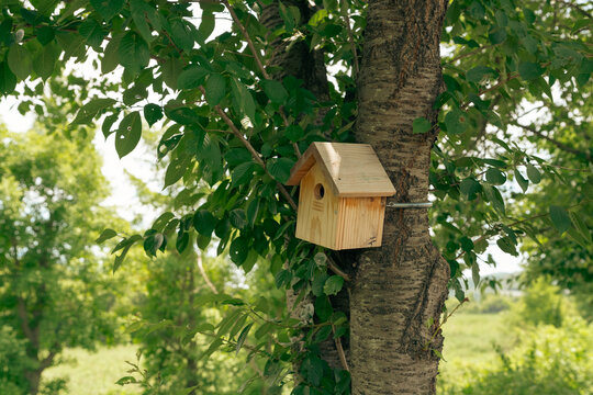 wooden bird house