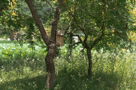 wooden bird house