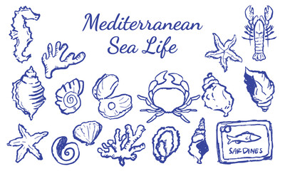 Obraz premium Mediterranean Sea Life Marine Animals and Shells Hand Drawn Blue Line Art Set
