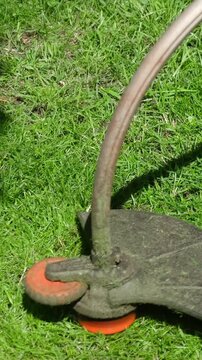 Vertical video. Electric lawn mower mows grass in backyard in summer. Lawn care. Garden maintenance