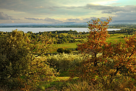 Tuoro sul Trasimeno, Perugia, Umbria, Italy: landscape of the countryside and the Lake Trasimeno