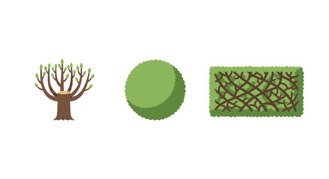 Pruned garden tree and shaped shrubs vector collection