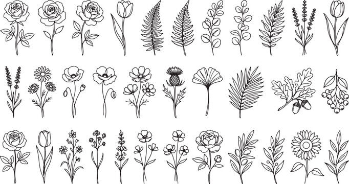 Hand drawn floral elements collection with various wildflowers leaves and botanical branches in black ink vector illustration