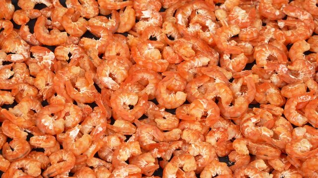 Macro panning shot across full frame texture of peeled dried shrimp.