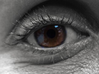 Naklejka premium Human eye macro details selective color vision