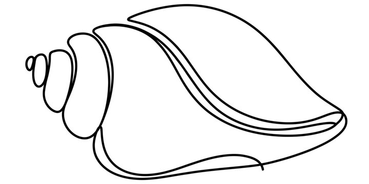 Continuous line drawing of a seashell