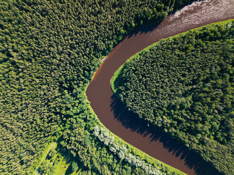Aerial view of the winding Gauja River flowing through the dense pine forests of Gauja National Park in Incukalns, Sigulda Municipality, Latvia.