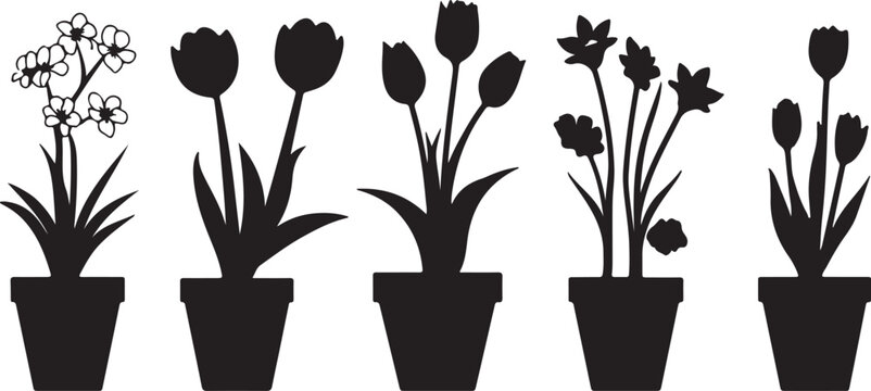 Set of vector tulip silhouettes and floral spring garden elements, isolated botanical design with flowers, leaves, pots and bouquet composition