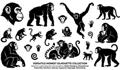 Monkey Silhouette Vector Collection – Black Monkey Animal Silhouette Illustration © Tohosina