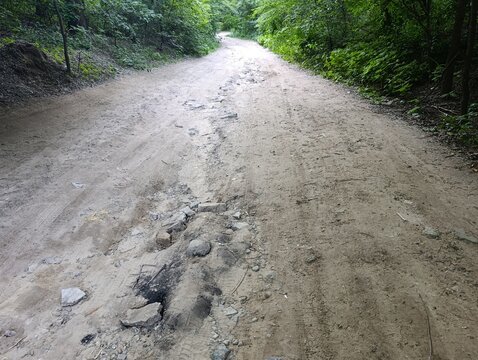 Rough damaged dirt road through green forest with deep soil erosion, water washouts, potholes, and stones