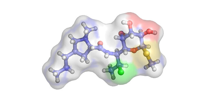 Clindamycin, antibiotic targeting ribosomal 50S subunit for severe anaerobic infections, 3D molecule 4K