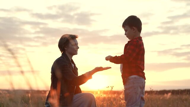 Peaceful boy gives hand to mother trusting on field at bright sunset of autumn evening. Boy feels care and love from mother. Boy and mother give hand to each other feeling freedom in nature