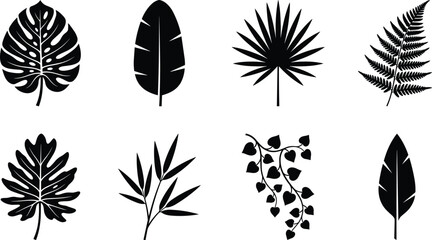 Tropical Leaf Silhouette Vector Bundle Featuring Monstera Banana Palm Fern Philodendron Bamboo Vine and Botanical Foliage Collection © MstRumana