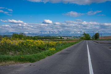 Fototapeta premium Patchwork road, Biei, Japan