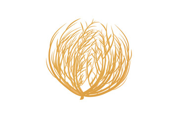 Dry tumbleweed shrub rolling plant isolated on white background with tumbleweed vegetation landscape withered isolated environment wilderness countryside  © stockpixelstudio