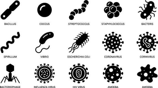 Bacteria and virus icon set. Microbiology collection showing various microscopic organisms in flat silhouette style. Editable vector illustration on transparent background.