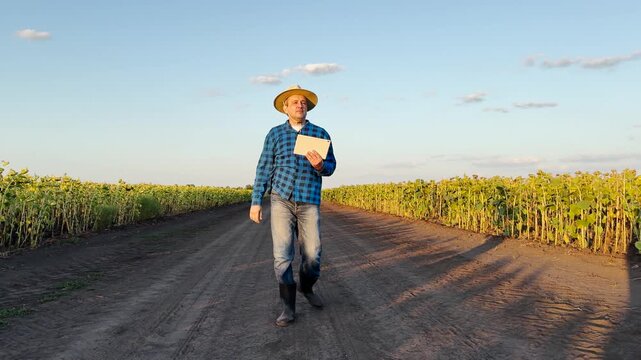 Man in a hat checking crops, Farming in the modern era, Agricultural technology and farming, Sunflower plantation and digital analysis, Rural man monitoring farm growth, Smart farming solutions